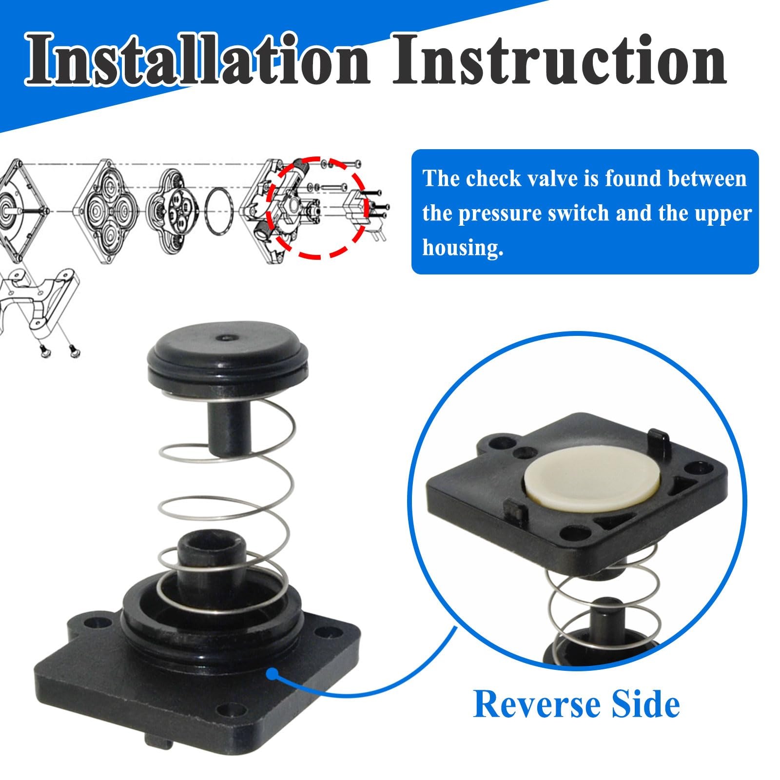 with Gaskets for 4008 Pump Check Valve Model