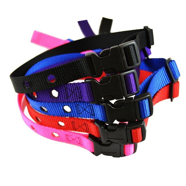 Invisible Fence  Replacement  Collars (700 series, 3/4" Nylon  w/ 2 Holes)