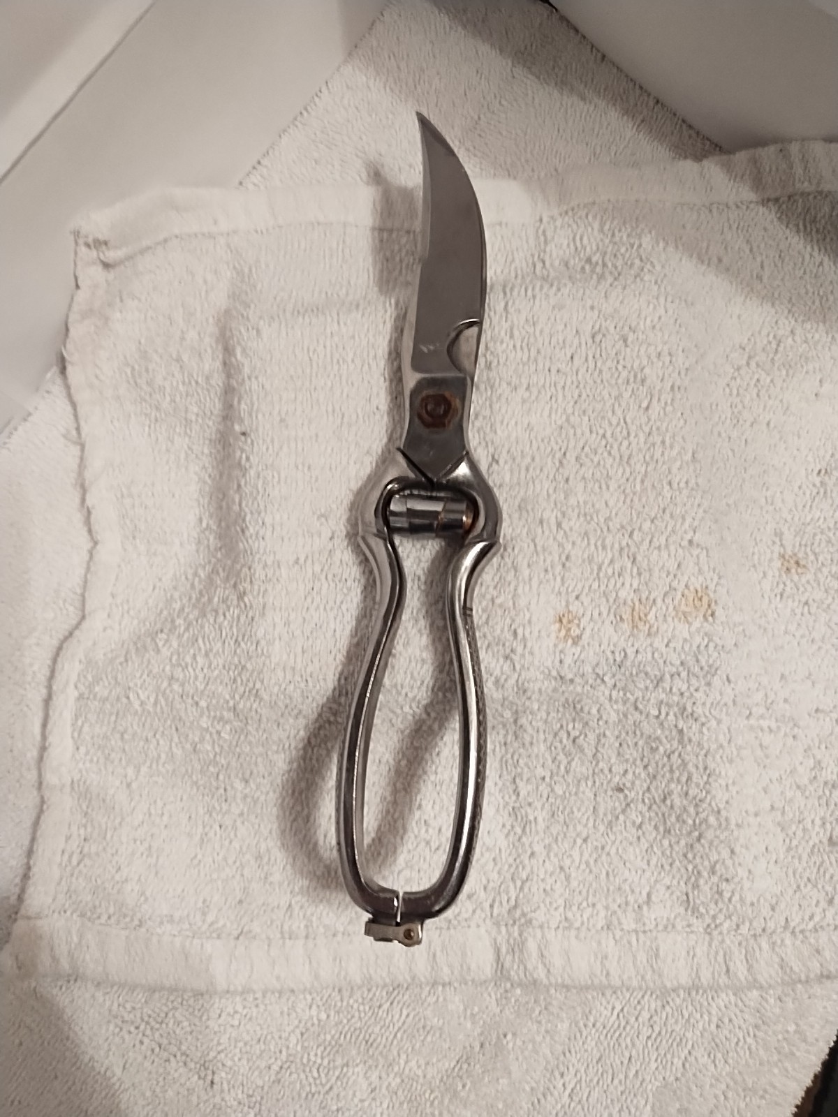 Poultry / Meat / Utility Shears