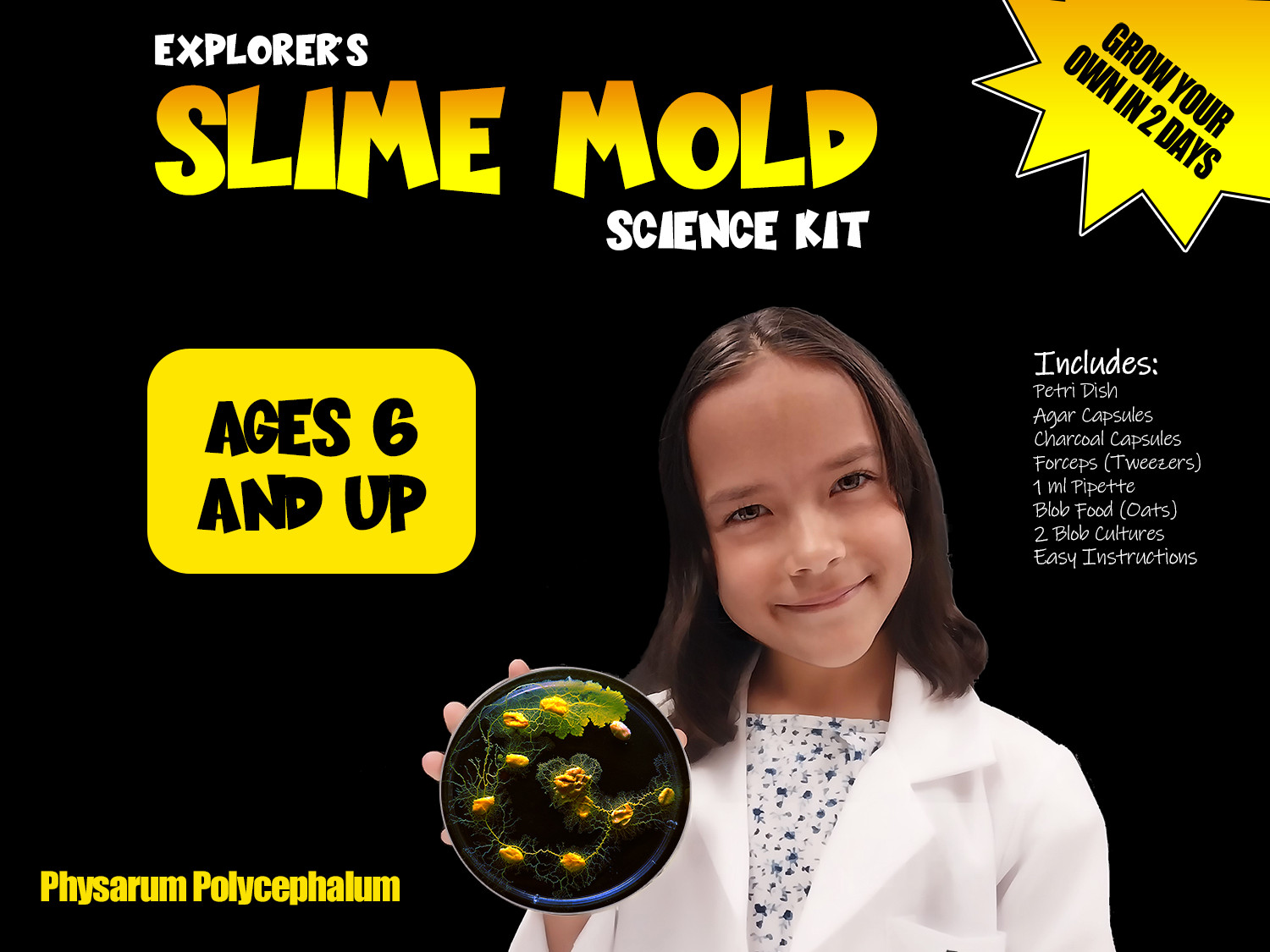 Slime Mold Educational Science Kit, Physarum polycephalum Study Project