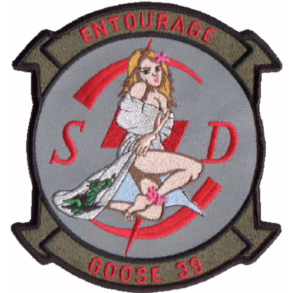 1st SOS Special Operations Squadron Patch SD Goose 39