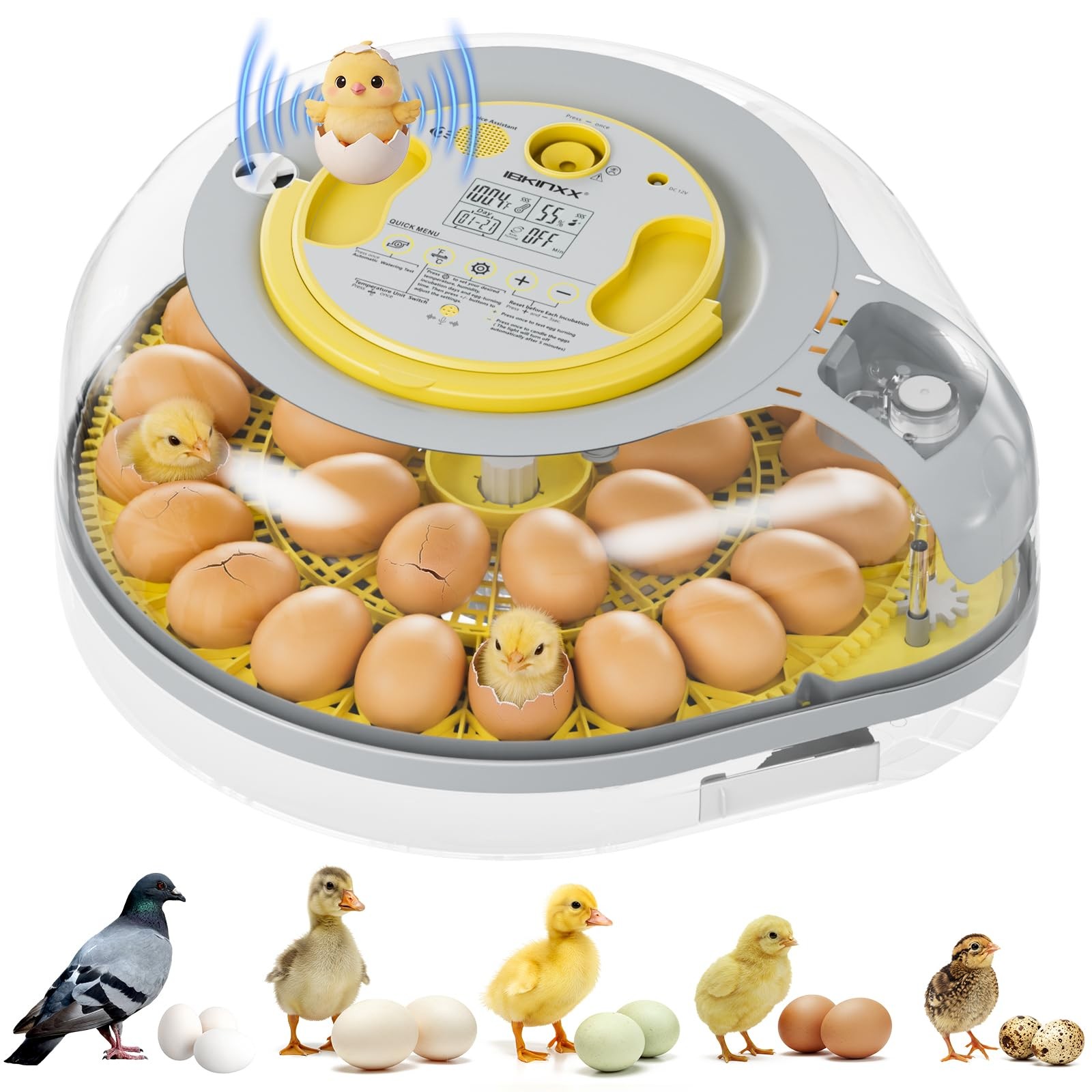 IBKINXX 26 Egg Incubator for Hatching Eggs with Smart Voice Guidance, Grey
