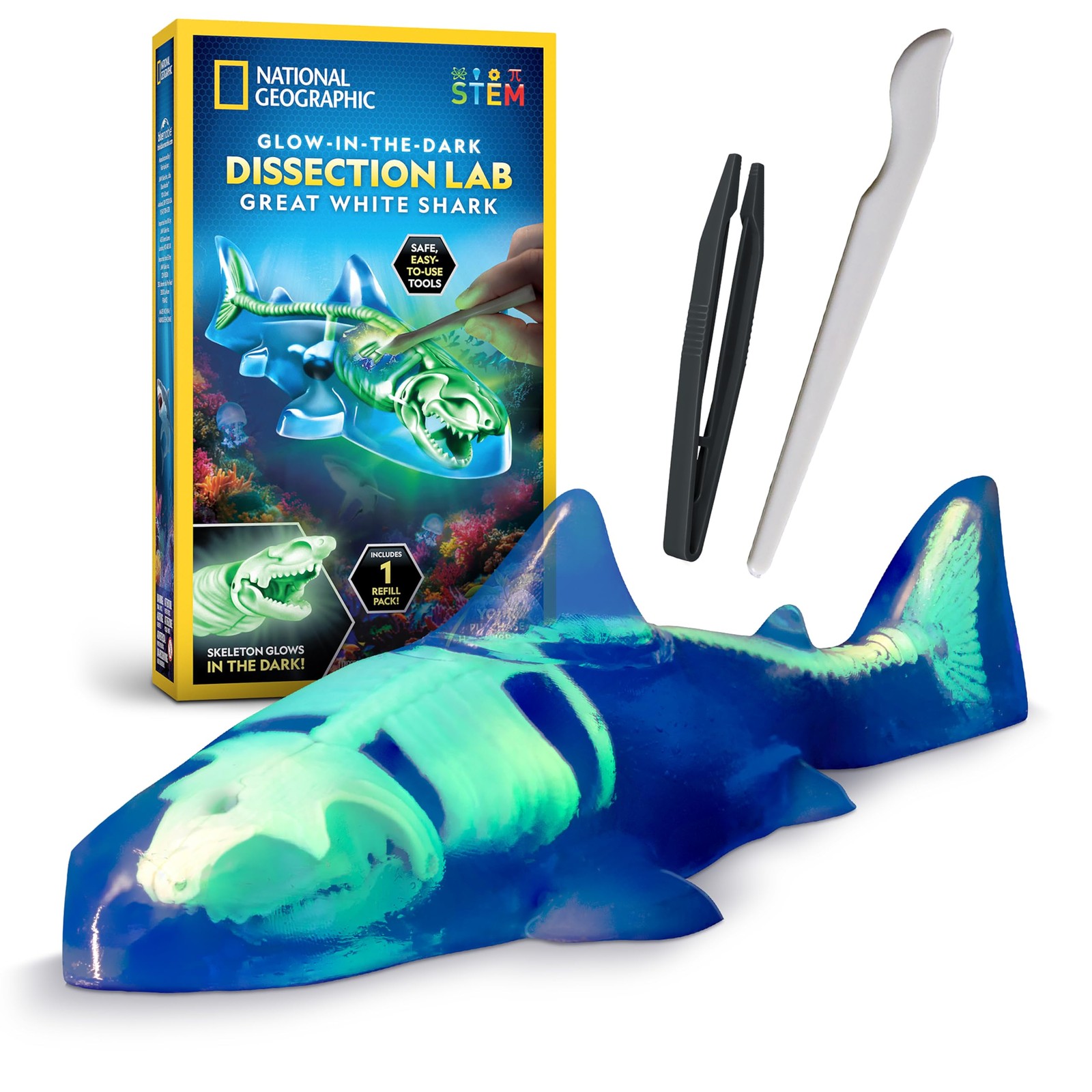 National Geographic Shark Dissection Kit – Glow in the Dark Great White Shark...