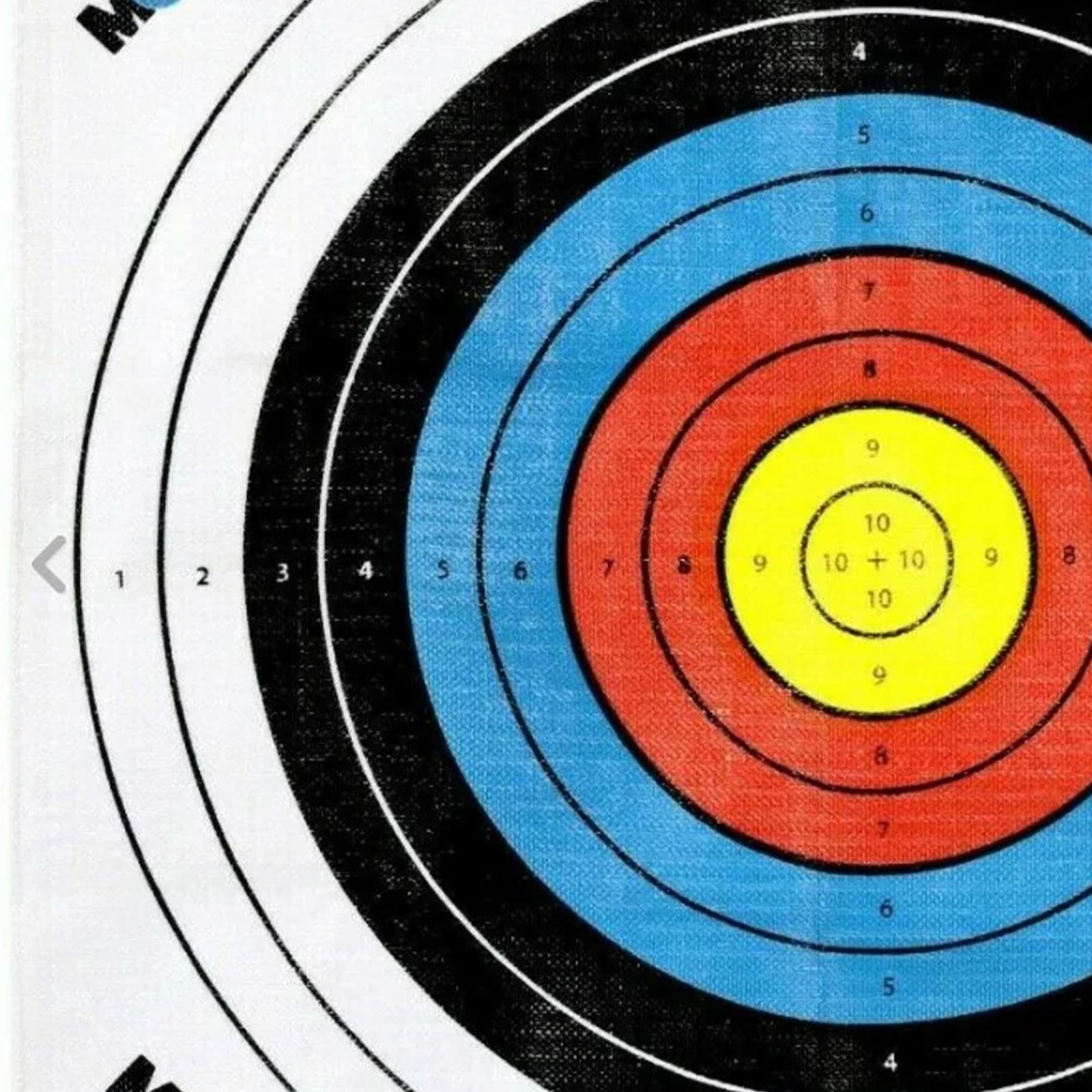 Morrell Targets Polypropylene Archery Target Face 80 CM. 42"x28"