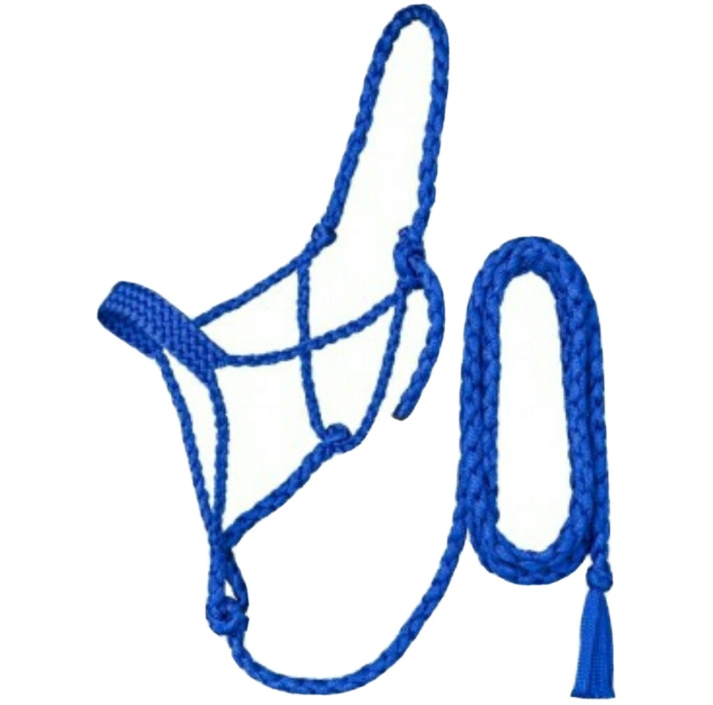 Tough 1 ROYAL BLUE Mule Tape Halter with 10 Ft Lead Rope  Western Horse Tack