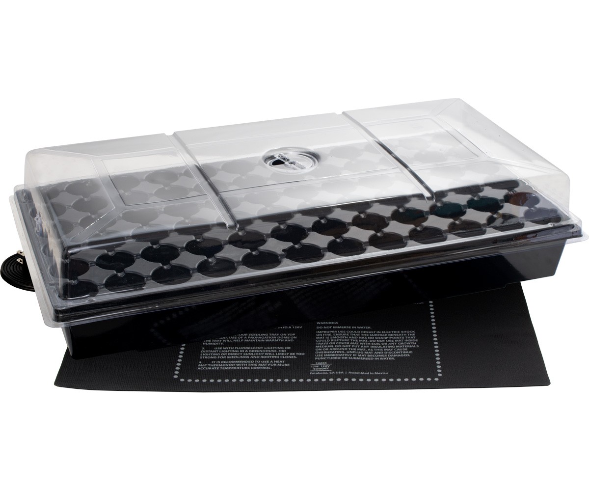 Jump Start Germination Station