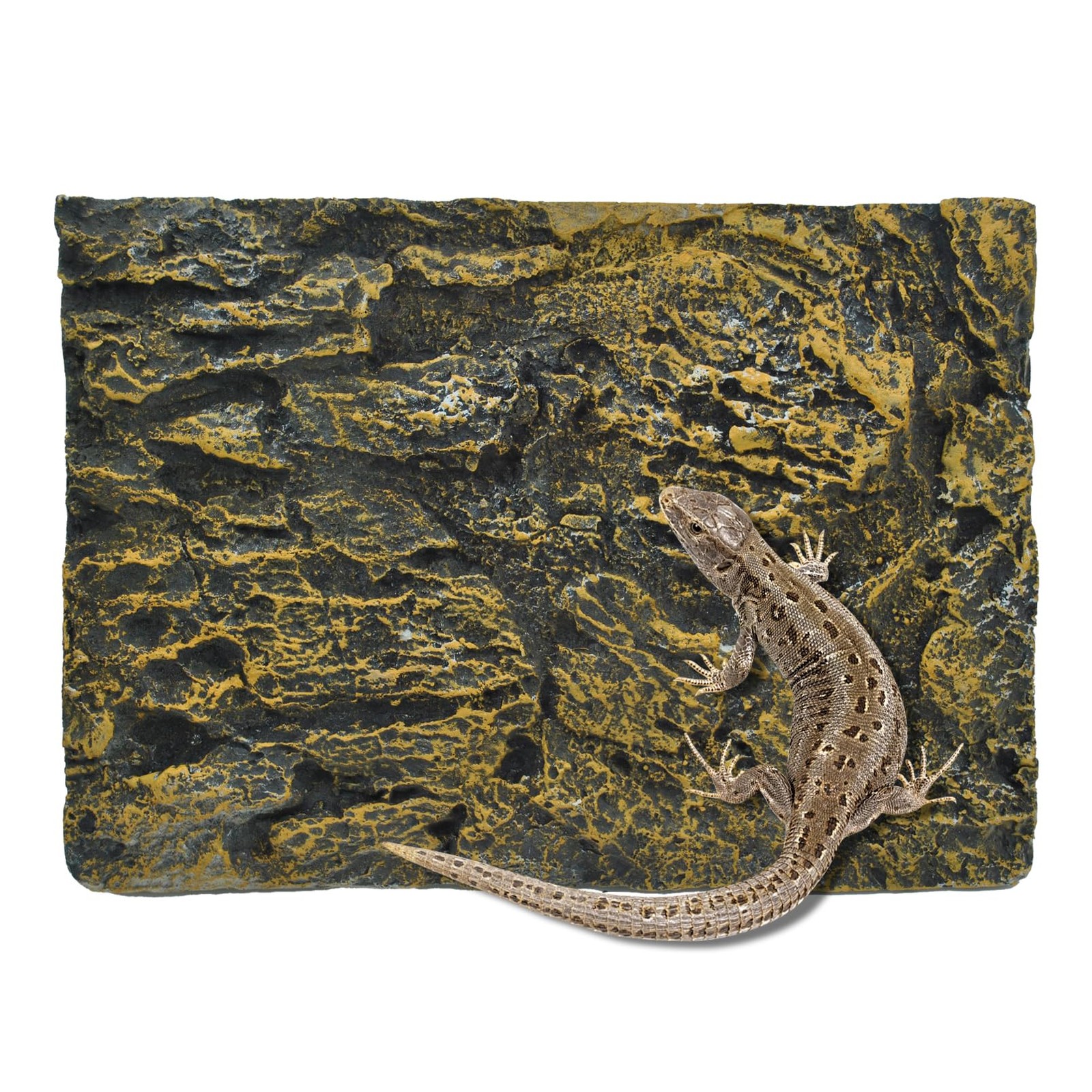 Muyg Reptile Tank Background Board Rock Terrarium Cork Background Board 3D Wall