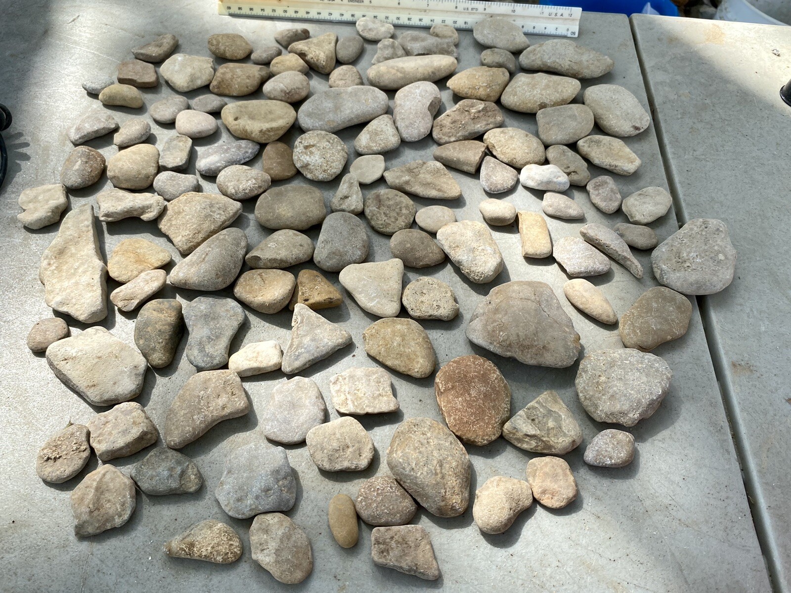8 LBS Natural Flat TX Creek Found Rocks Flat Decorative Rock Aquarium-Terrarium