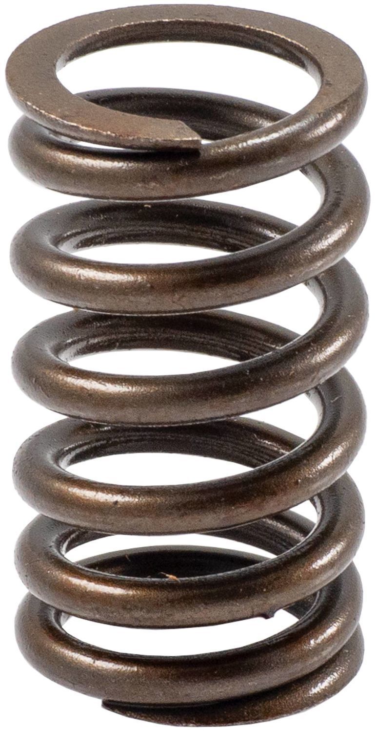 Engine Valve Spring-Stock Melling VS-110