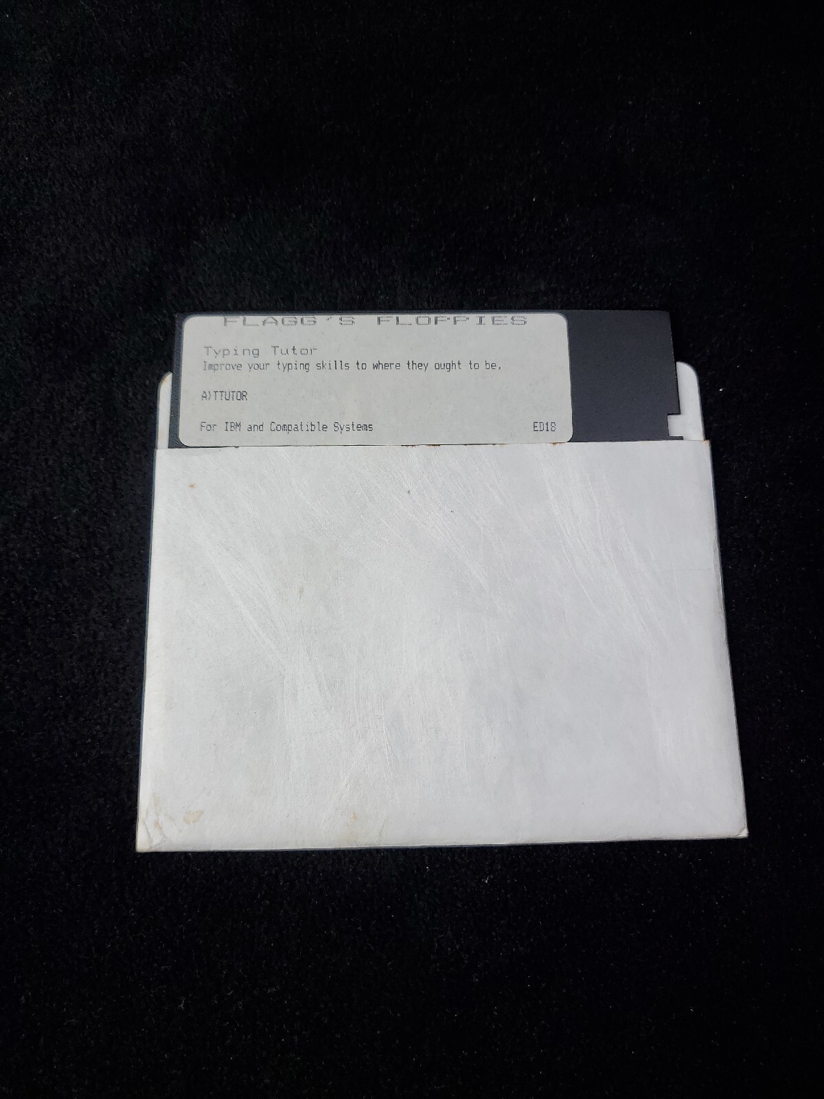 VINTAGE RARE Flagg's Floppies Typing Tutor ED18 IBM COMPATIBLE SYSTEM