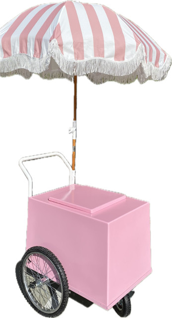 Paleta Push Cart Pink Frozen Treat Ice Cream Cooler Mobile Vending Branding Cart