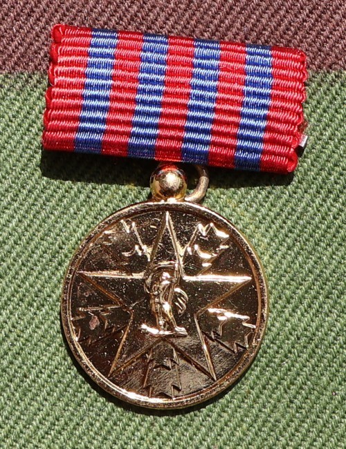 Miniature Yugoslav medal Merit to the Nation