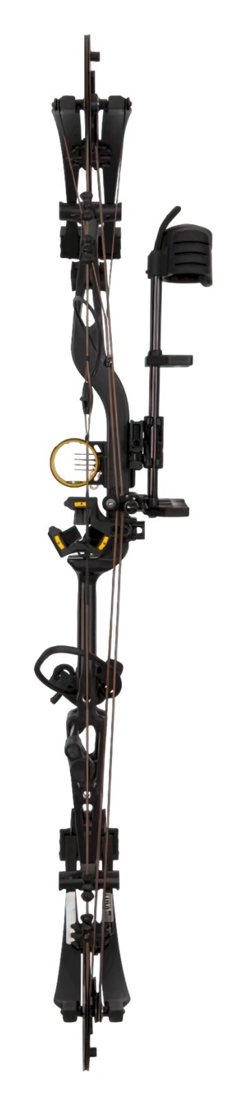 Bear Archery Paradigm RTH Compound Bow 60RH Black