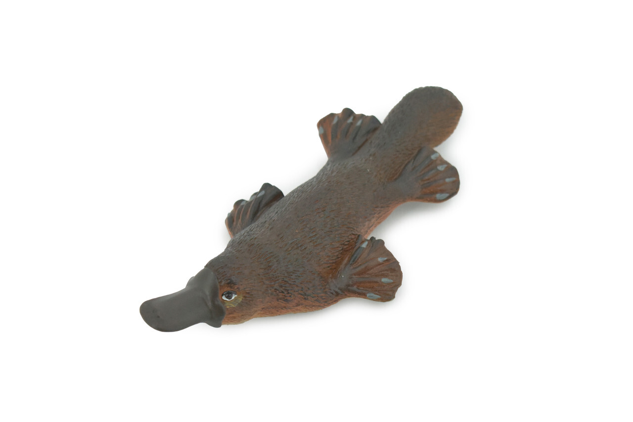 Toy Duck-Billed Platypus, Rubber, Realistic, Figure, Model, Gift, 7" CH514 BB157