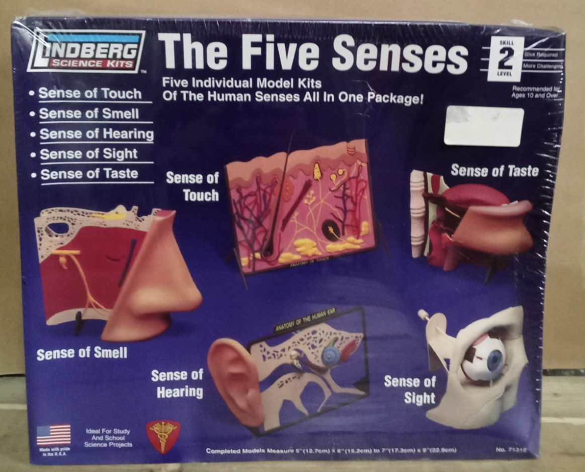 Lindberg Science Kit #71315 The Five Senses Skill Level 2 Sealed NIB (A230-09)