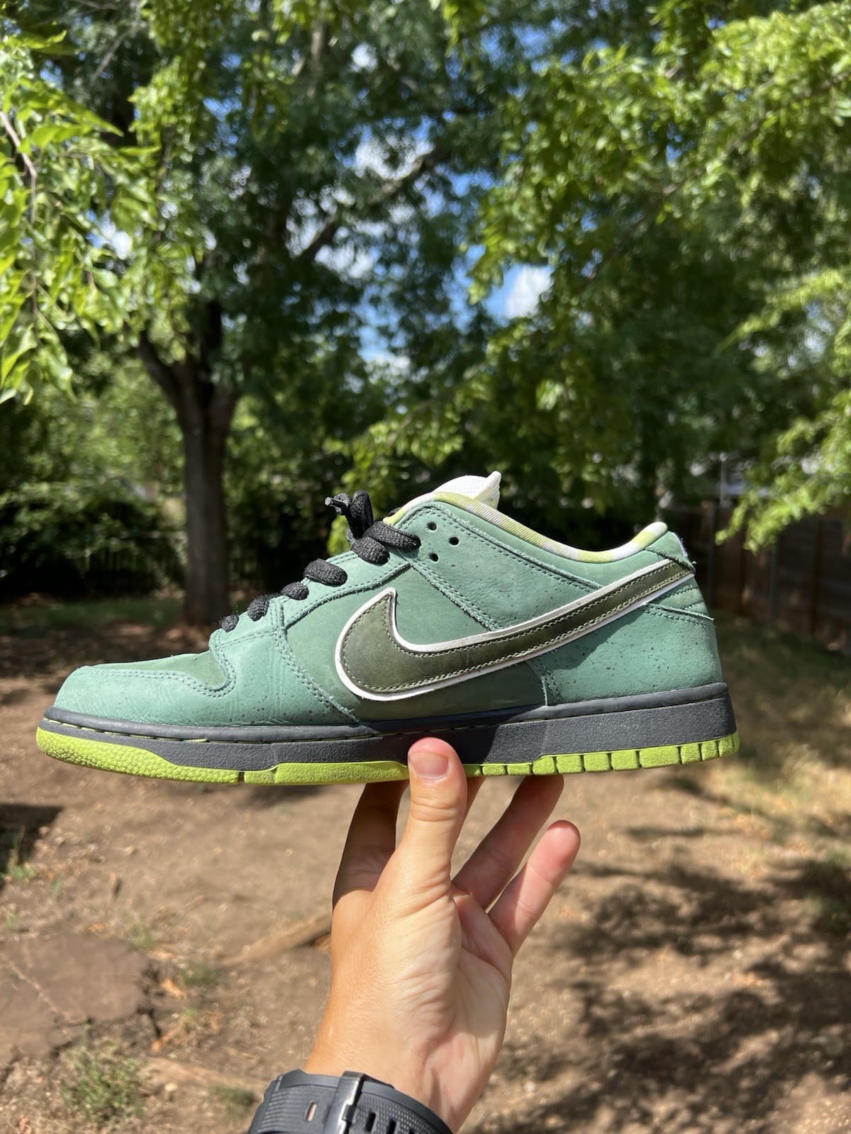 Nike SB Dunk Low Green Lobster Size 10.5