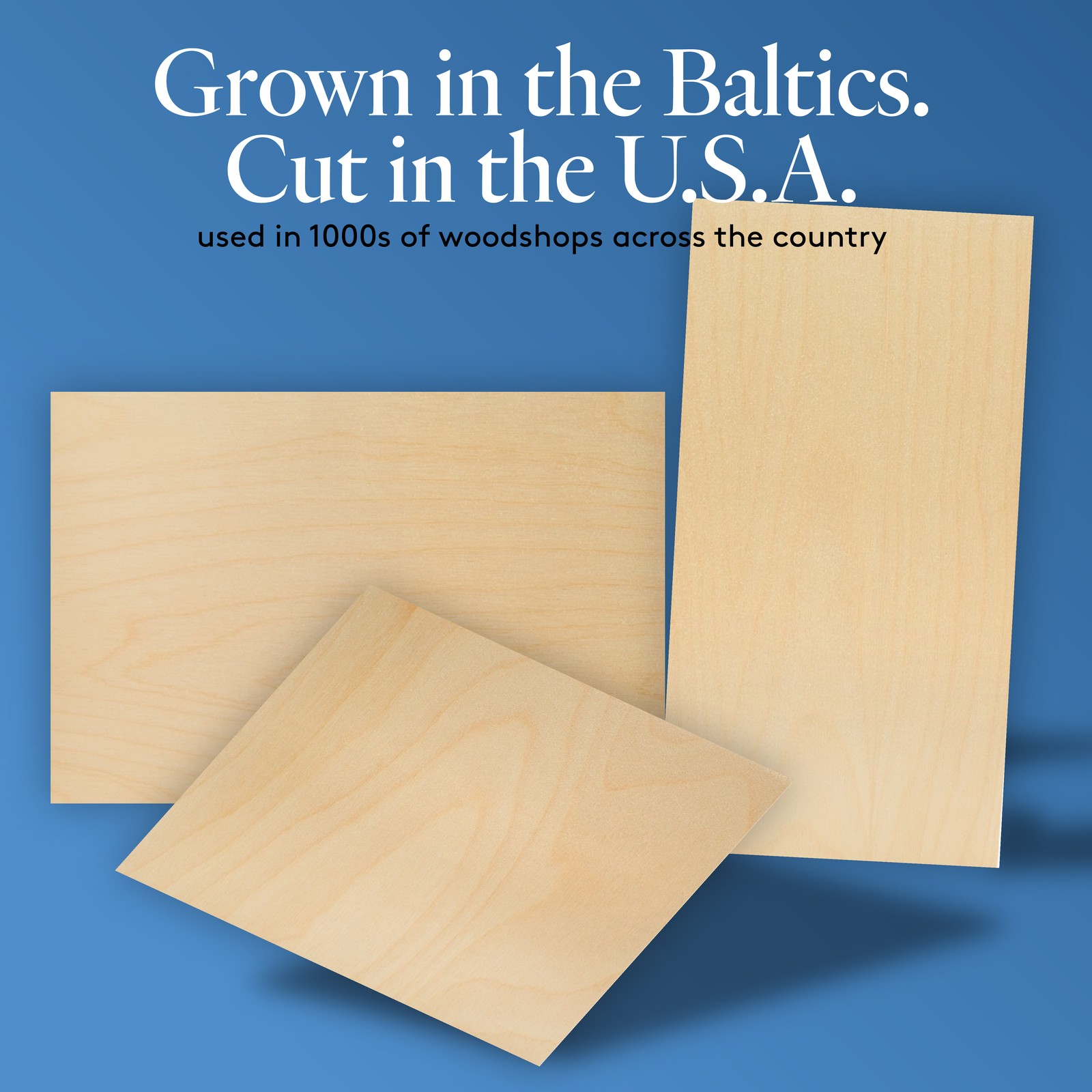 Baltic Birch Plywood, 6 mm 1/4 x 12 x 16 Inch, B/BB Grade Sheets| Woodpeckers