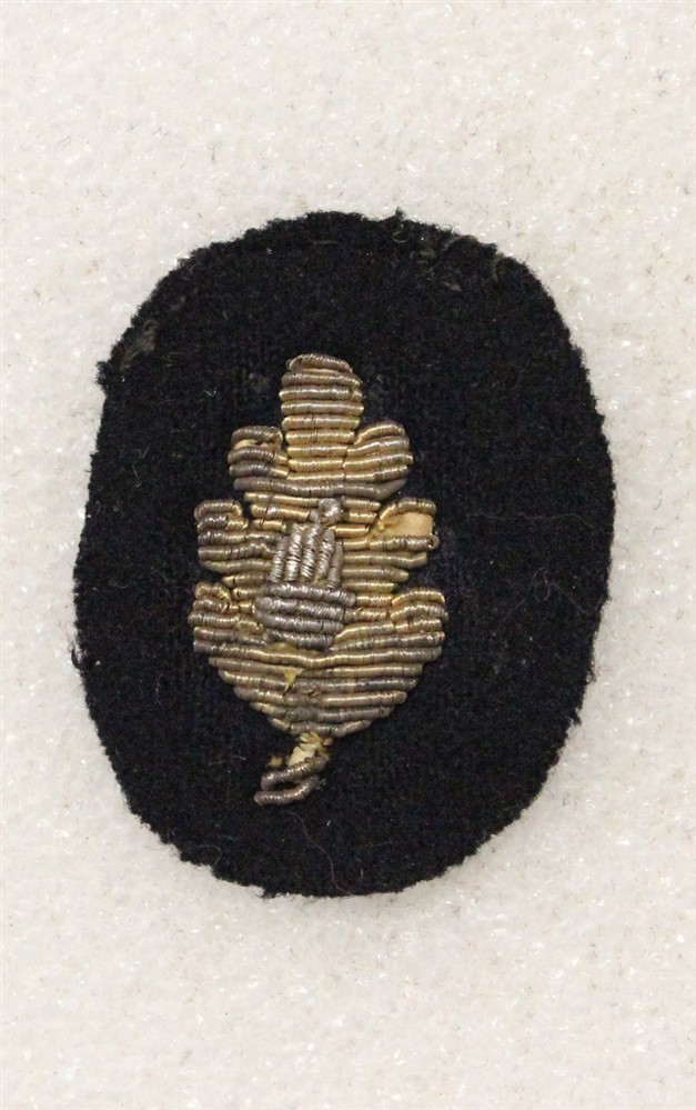 USN Navy Sleeve Insignia 1145: Medical Officer - single