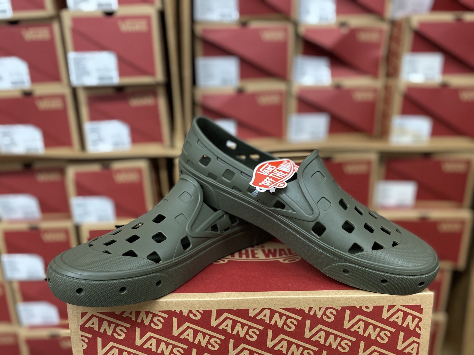 Vans unisex Trek Slip On - grape leaf -US (MEN 12) VN0A5HF8BLK