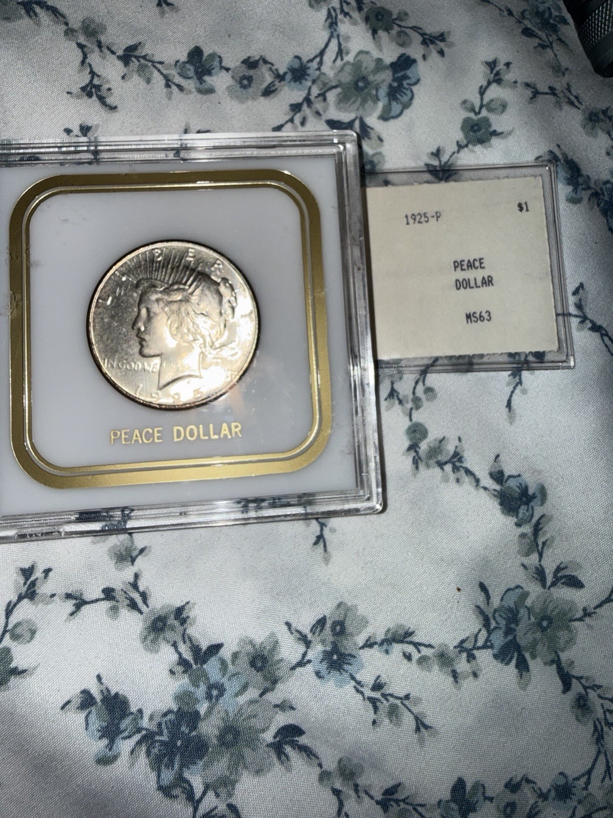 1925-P Peace Silver Dollar $1 Coin Business Strike KM#150 0.9 Fine