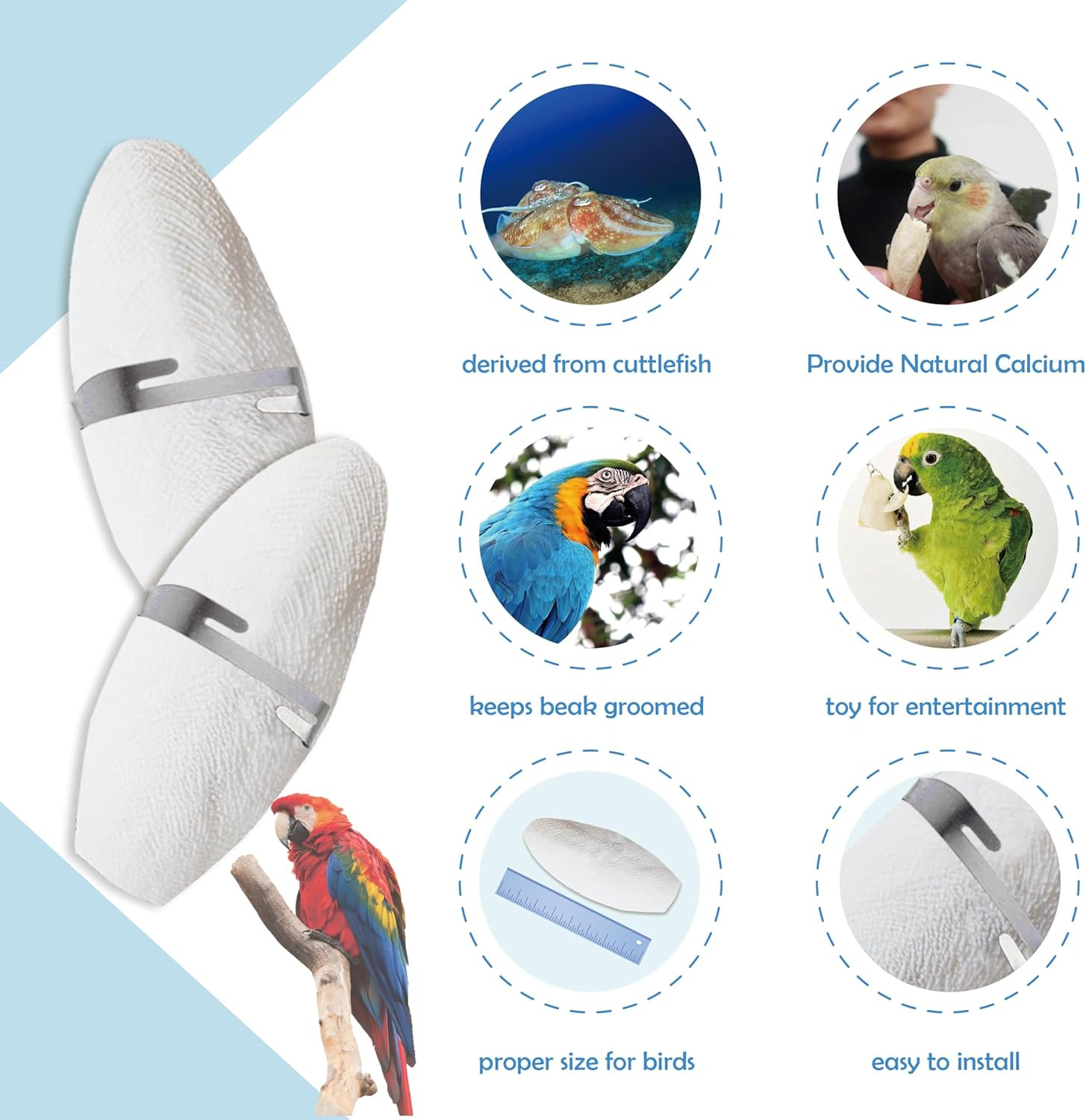 Jmxu'S 5"-5.5" Bird Cuttlebone for Parakeets, Cuddle Bone with Metal Holder