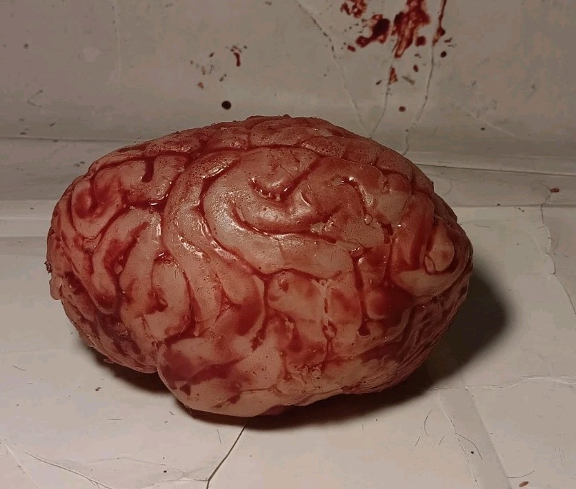 Silicone horror movie prop brain organ gore special effects guts splatter