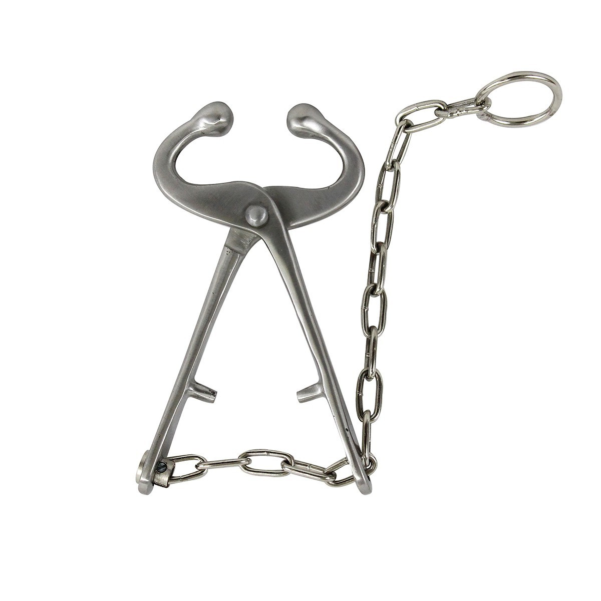 New Bull Cow Nose Lead with swivel JORVET J178B Chain, Stainless Steel