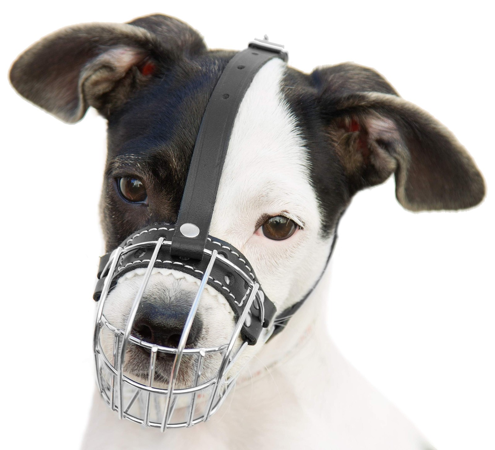 №0.5 Dog Chrome Metal Muzzles Wire Basket Adjustable Leather Straps Сircumfer...