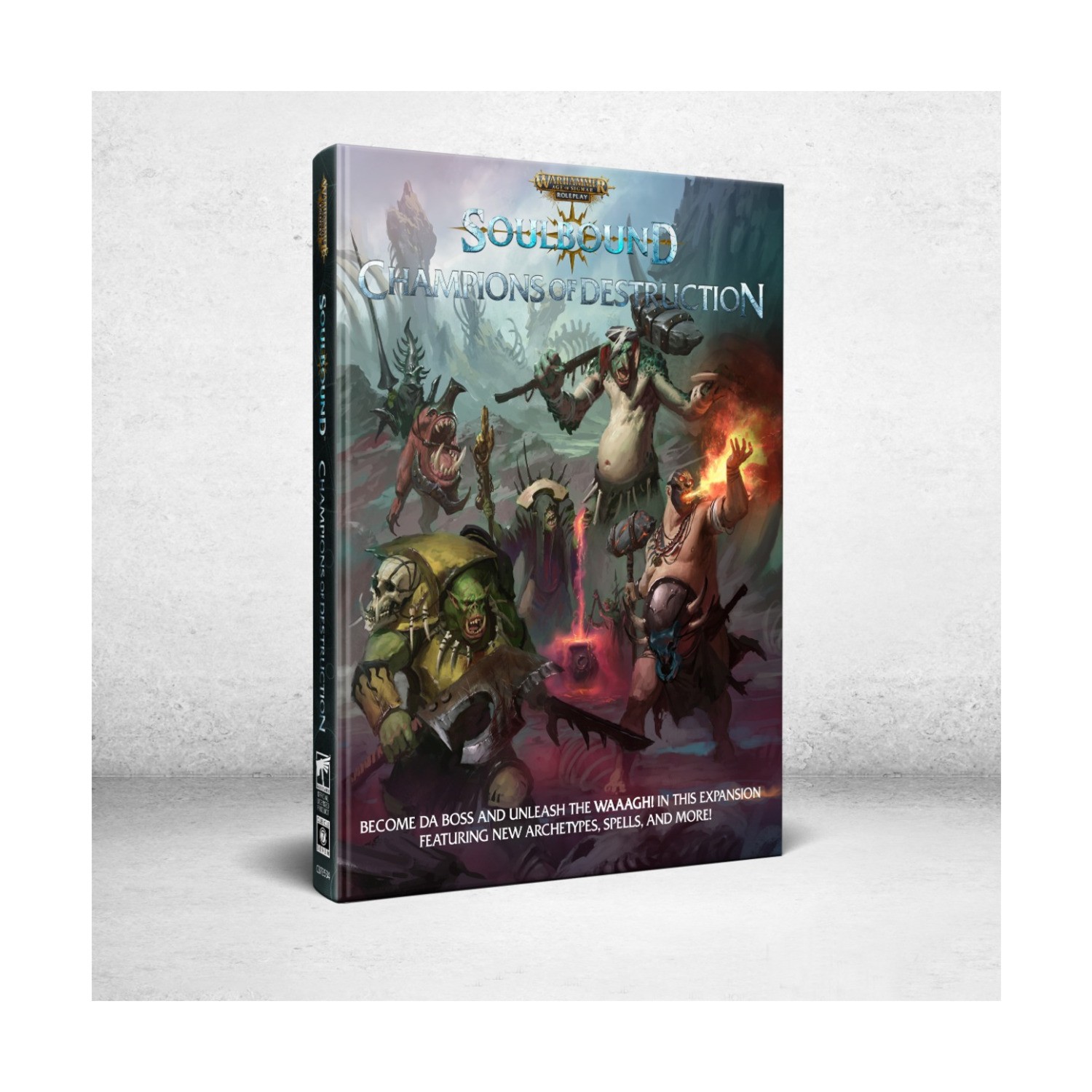 Cubicle7 Warhammer AoS Soulbound Champions of Destruction VG+/NM
