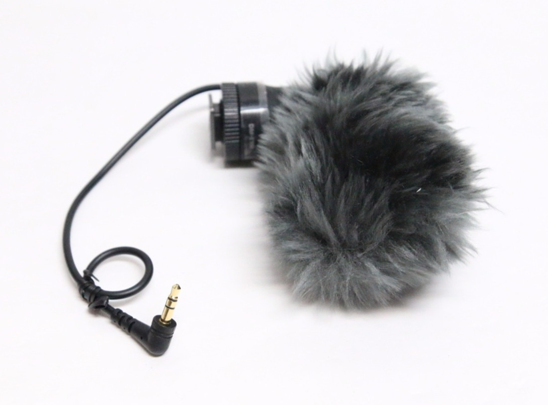 Canon DM-E100 Directional Microphone