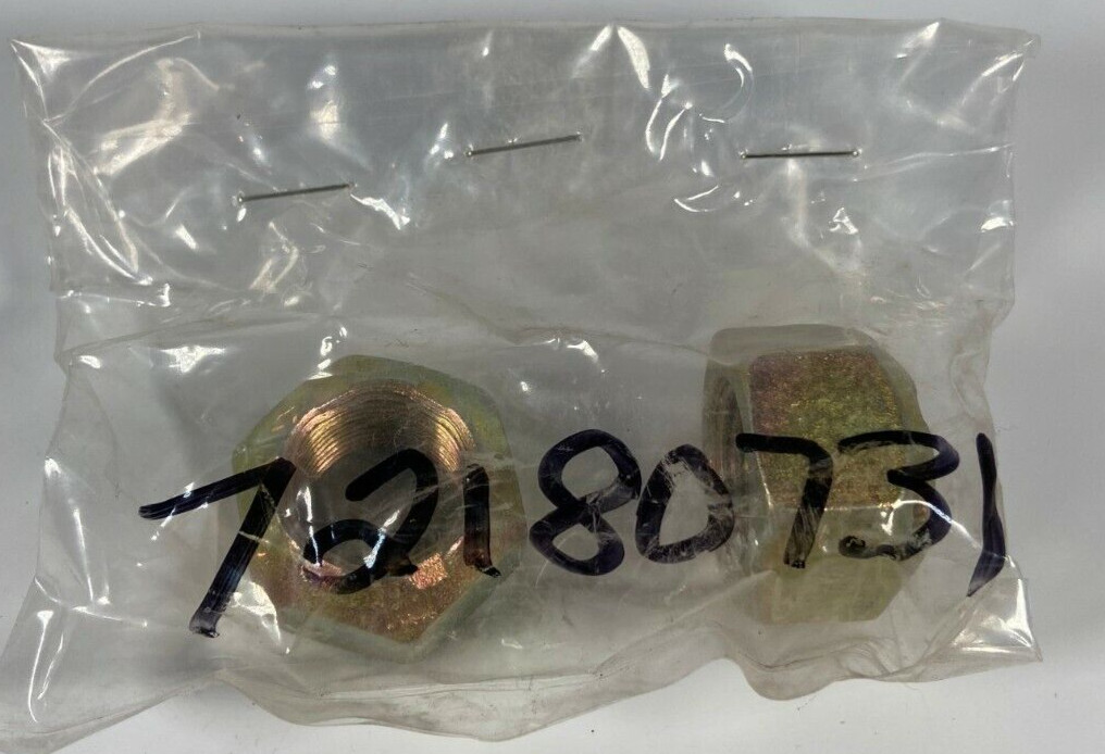New Holland Case CNH Genuine OEM Nut 72180731 New Lot of 2