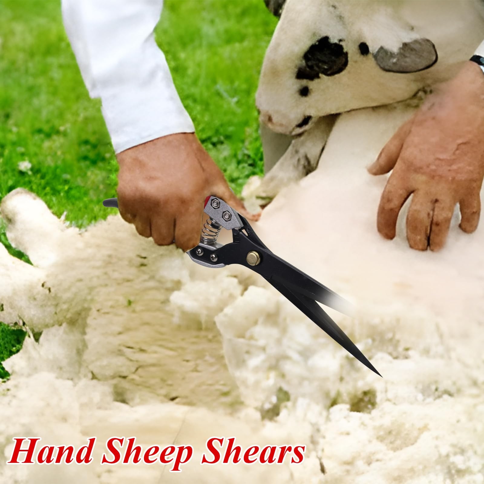 Hand Wool Shearing Shear Extra Long Gardening Pruning Shears Coated Wear-Resi...