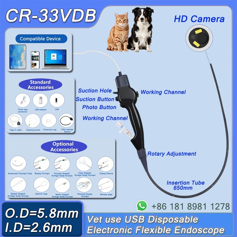 Vet Use USB Disposable Electronic Flexible Endoscope 650mm Support Phone Pad PC