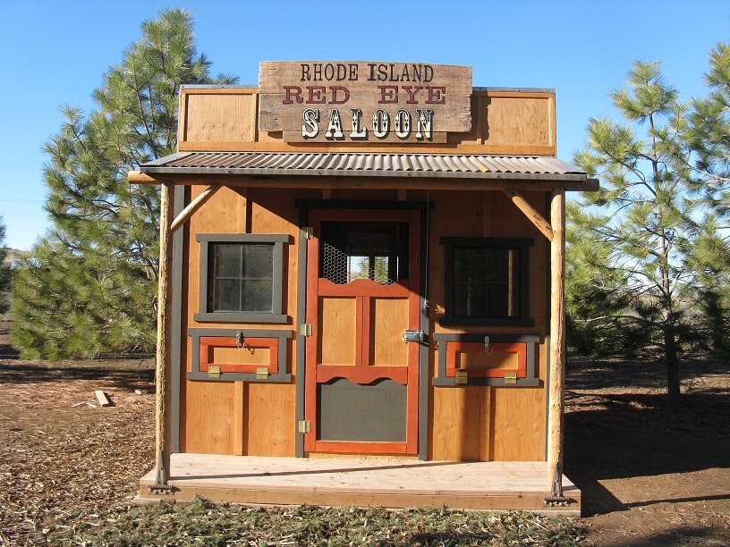The Rhode Island Red Eye Saloon chicken coop, emailed version only