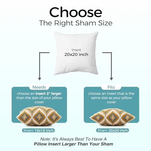0x0 Throw Pillow Inserts Set of – Supportive & Fluffy Down 20 X 20 Inch 2