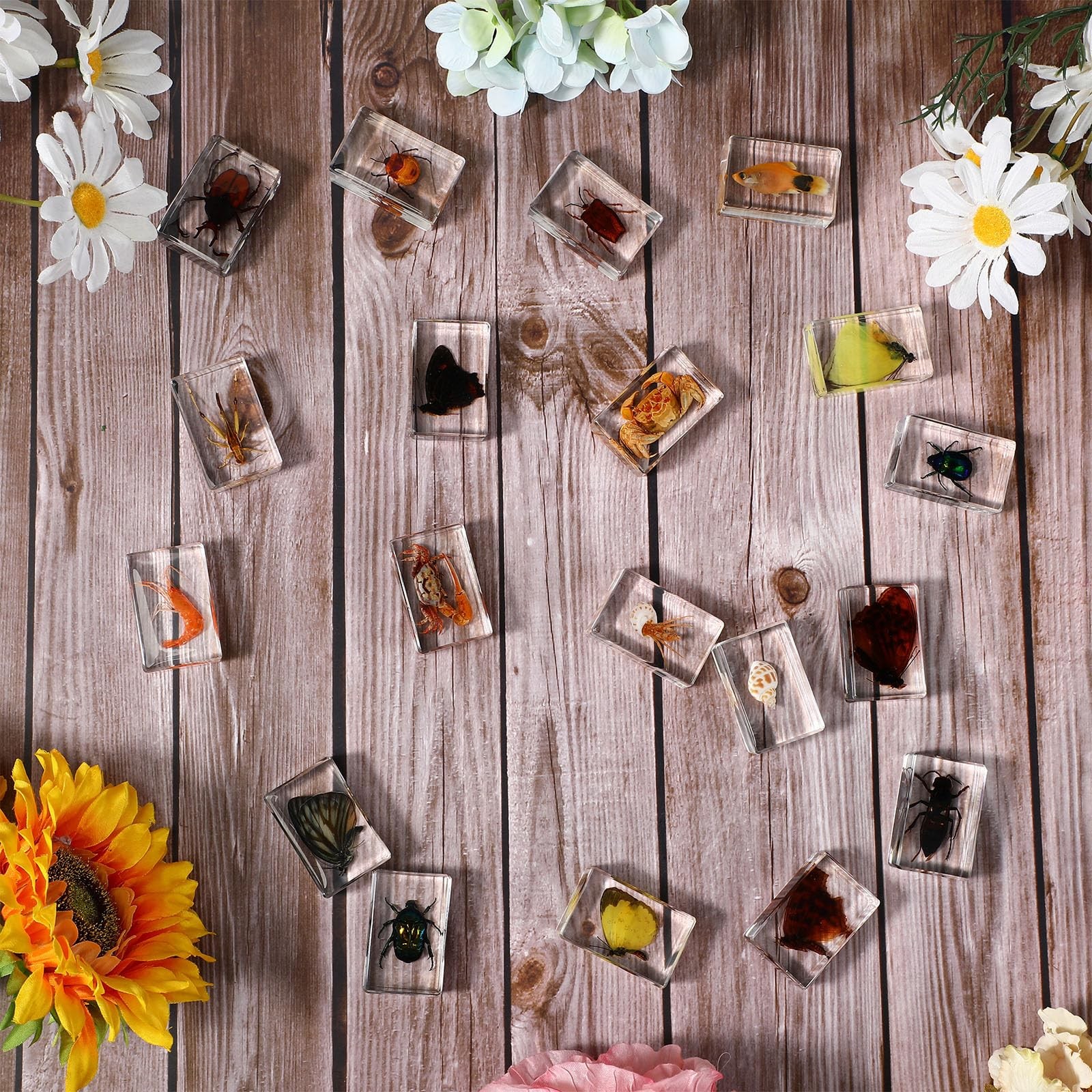 12 Pcs Butterfly Insect in Resin Specimen Bugs Collection Paperweights，12...