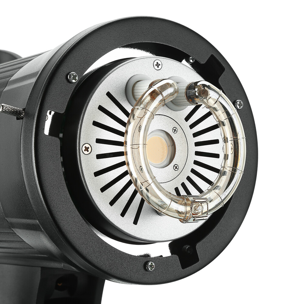Godox SK300II-V Studio Strobe Flash with Reflector+60*90cm Grid Softbox+2M Stand