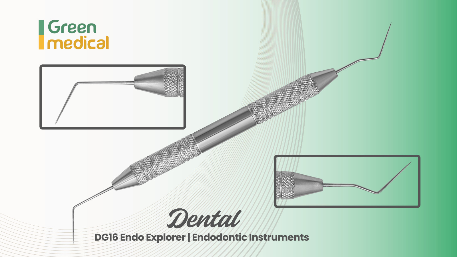 DG16 Endo Explorer | Endodontic Instruments Stainless Steel German Grade