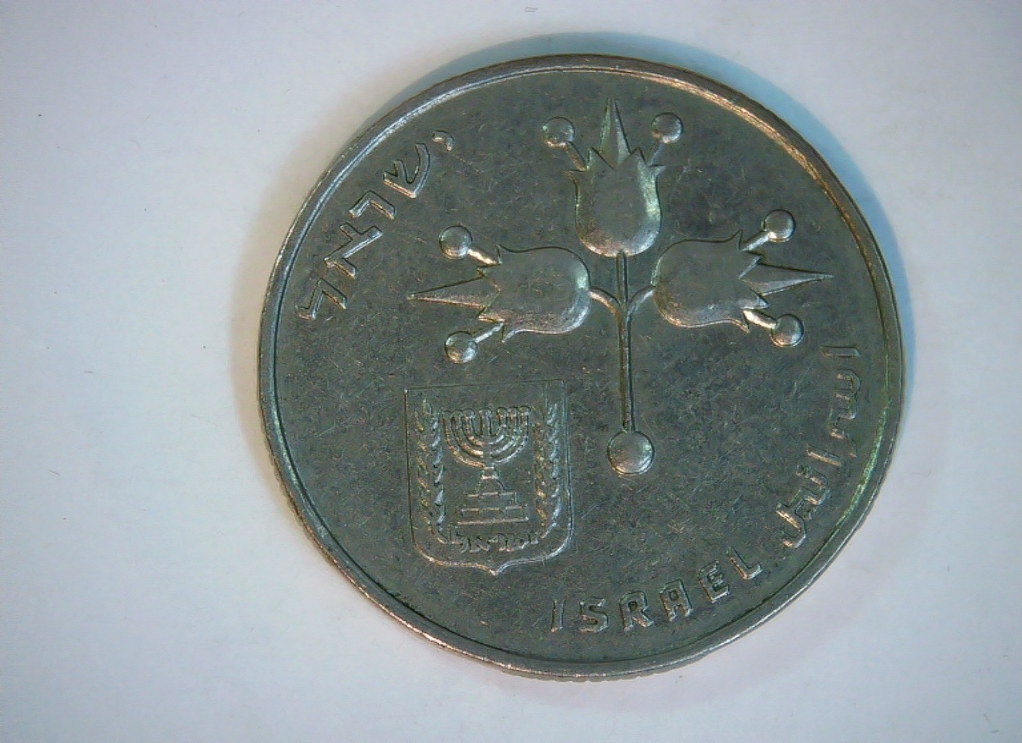 Coin
