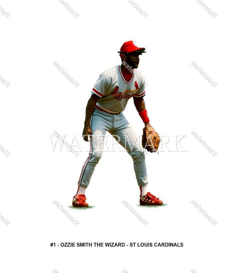 GI685 Ozzie Smith Wizard & St Louis Cardinals 8x10 11x14 16x20 24x36 Photo
