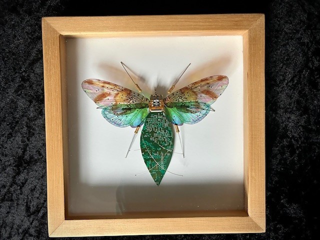 Circuit Board Insect, Upcycled Original Art, Julie Alice Chappell, Framed