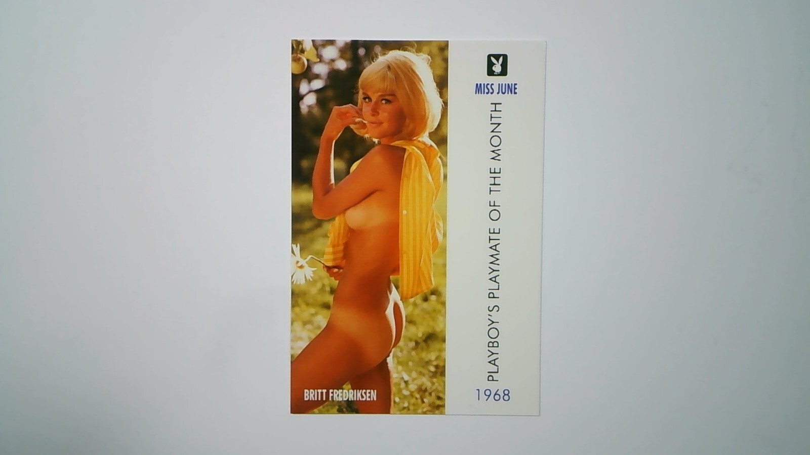 1995 Playboy Centerfold Collector Card June #45 Britt Fredriksen