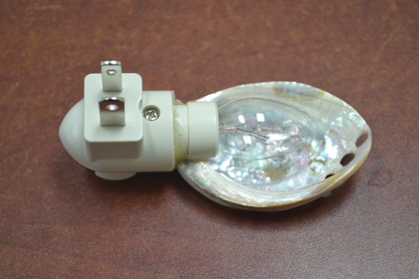 GREEN ABALONE SEA SHELL NIGHTLIGHT