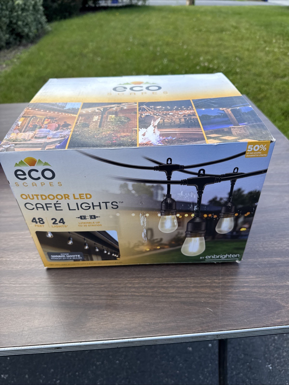 EcoScapes Outdoor LED Café Lights (24 Bulbs, 48 Feet) Warm White Edison Style