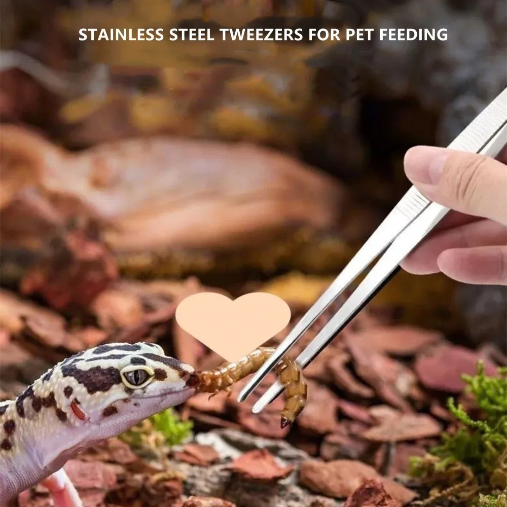 1Pc Stainless Steel Aquarium Tweezers Long Elbow Tongs Pet Feeding Tool
