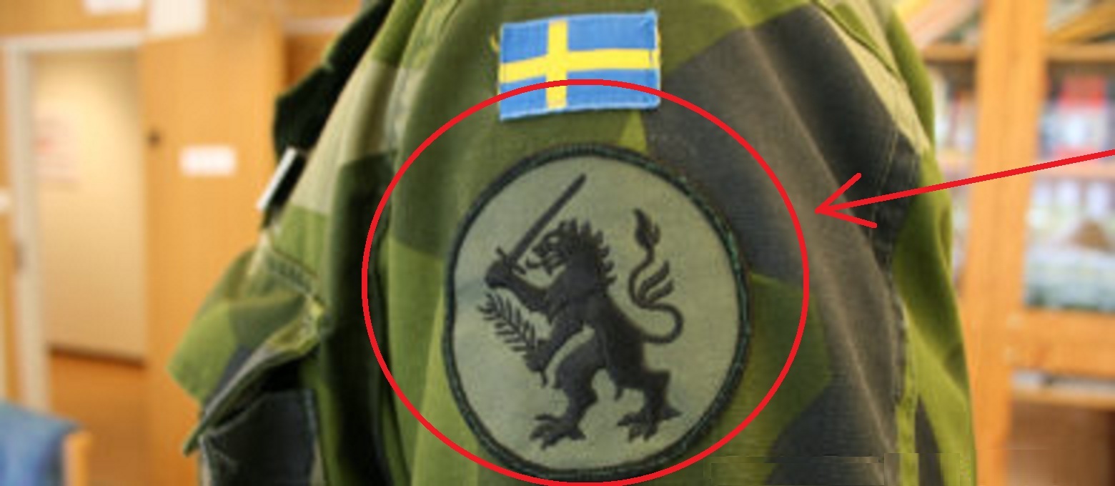 TALIZOMBIE© WHACKER NATO ALLIED COALITION OPERATOR PATCH: SWEDEN Heraldic Lion