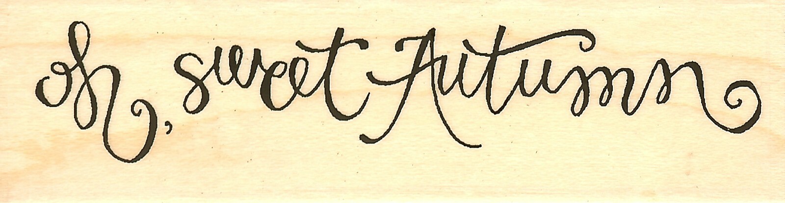 Sweet Autumn Wood Mounted Rubber Stamp IMPRESSION OBSESSION C19032 New