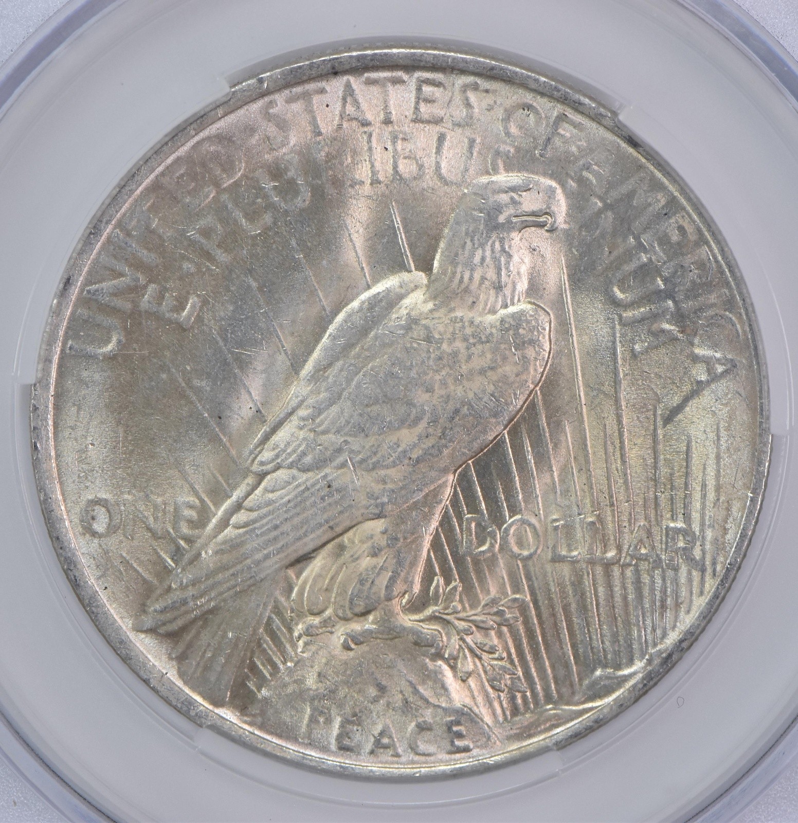 1923 Peace Silver Dollar AU58 CAC CACg