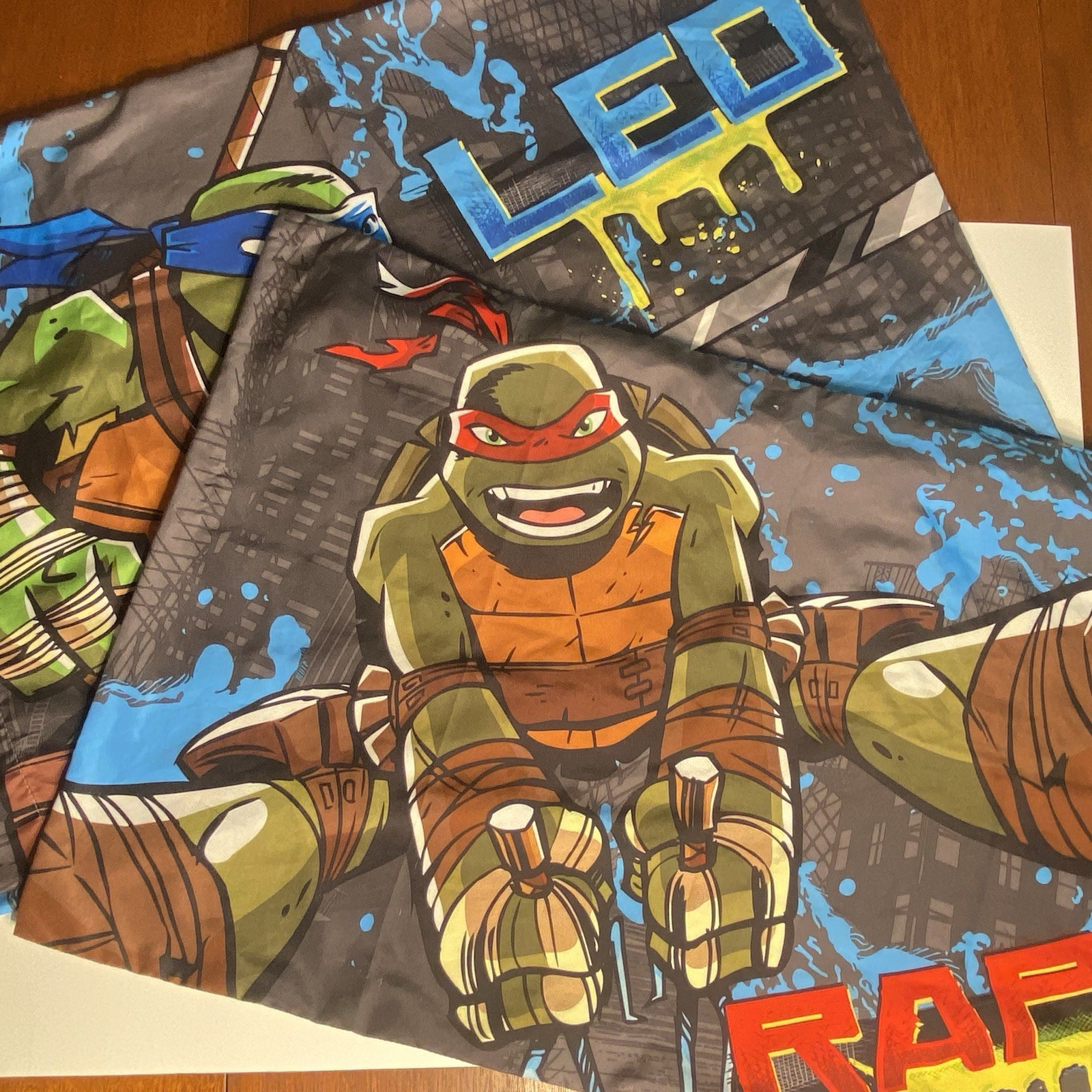 Set of 2 Teenage Mutant Ninja Turtles Pillow Case 2016 Nicktoons TMNT Leo Raph
