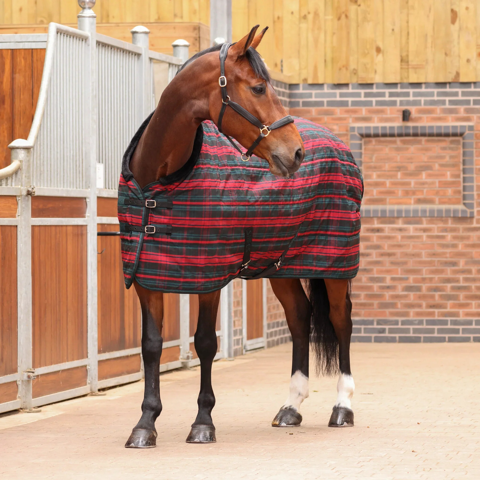 Shires Tempest Plus 200 Stable Rug - 200g Medium Weight Horse Blanket -